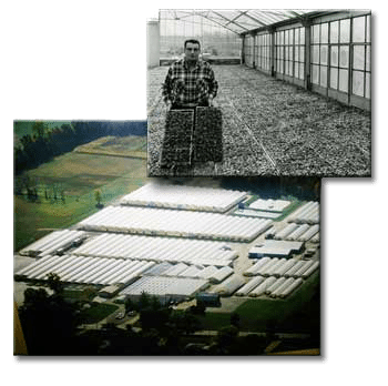 Schwartz Greenhouse & Garden Center history