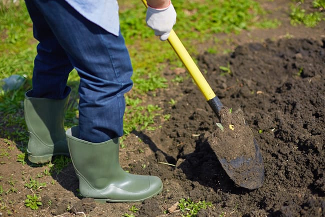 Soil prep