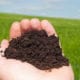 Topsoil