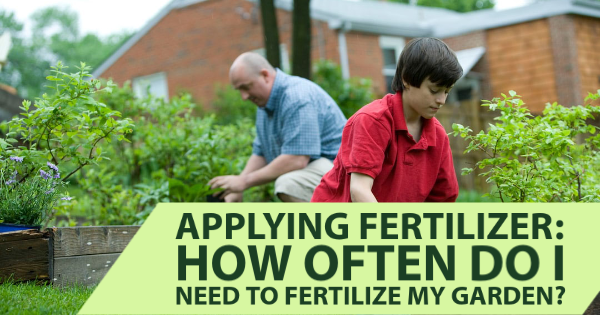 When is the Best Time to Fertilize Outdoor Plants: Expert Tips