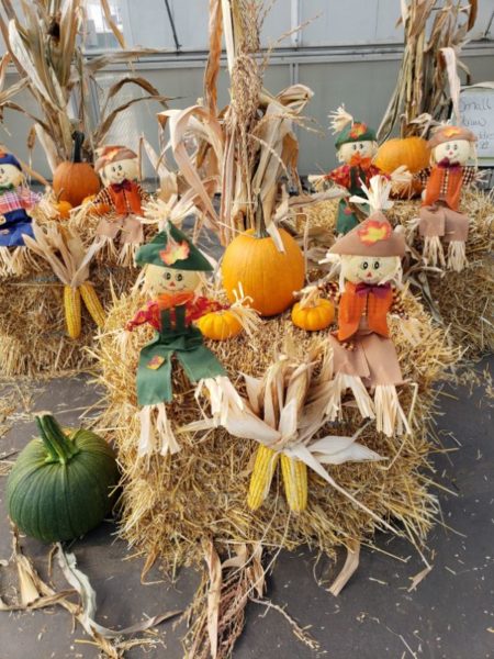 Straw buddy at Schwartz's Greenhouse