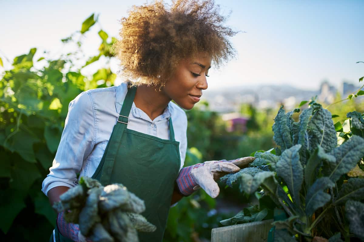 caring for plants