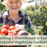 vegetable gardening
