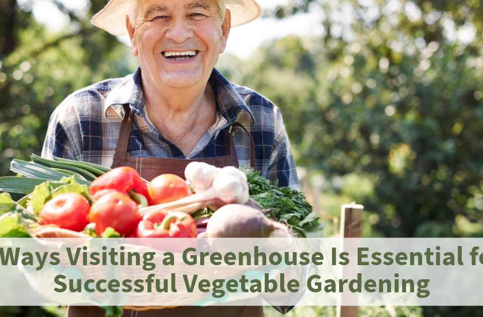 vegetable gardening