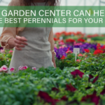 perennials