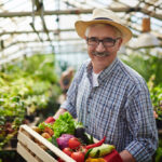 vegetable gardening