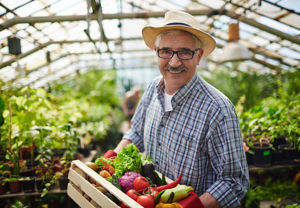 vegetable gardening