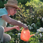 planting ideas