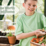 vegetable plants