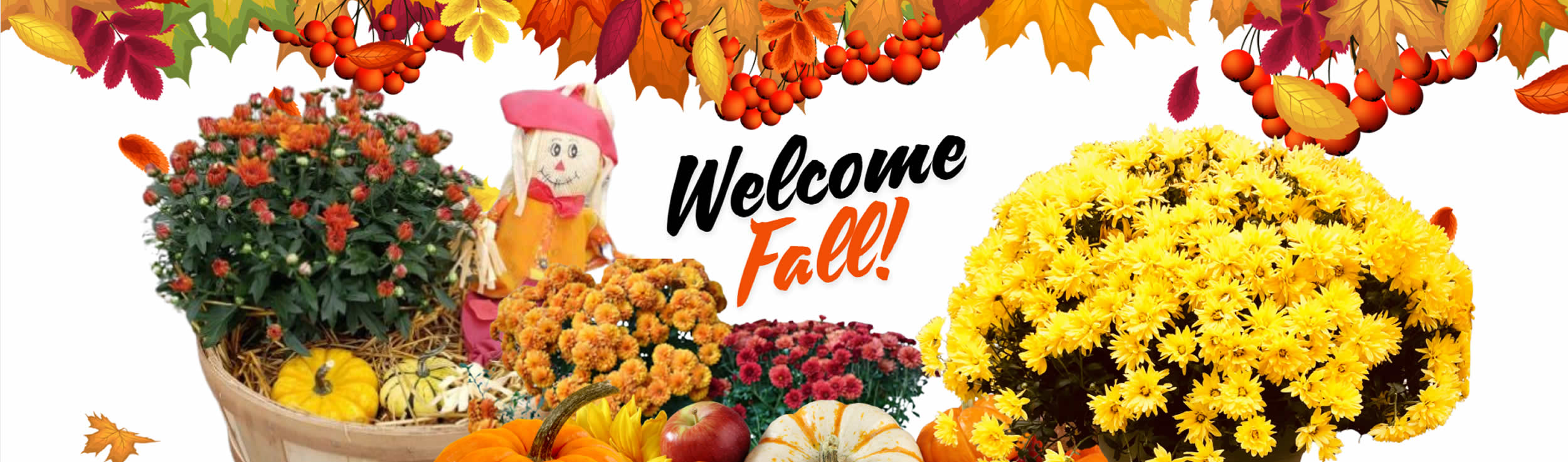 Fall header4