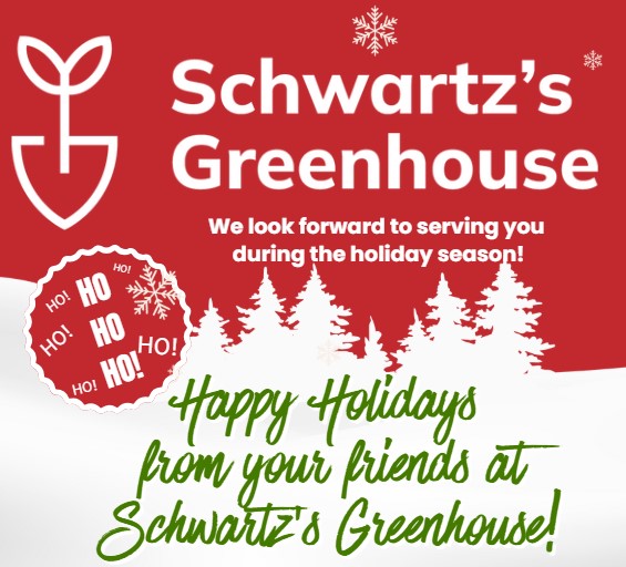 christmas header 2025 mobile