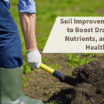 soil tips