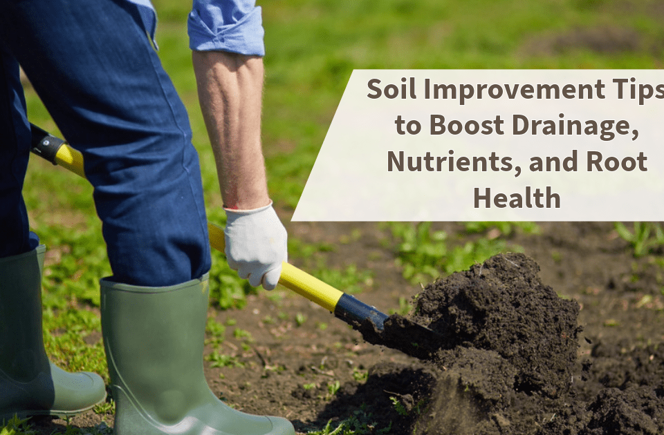 soil tips